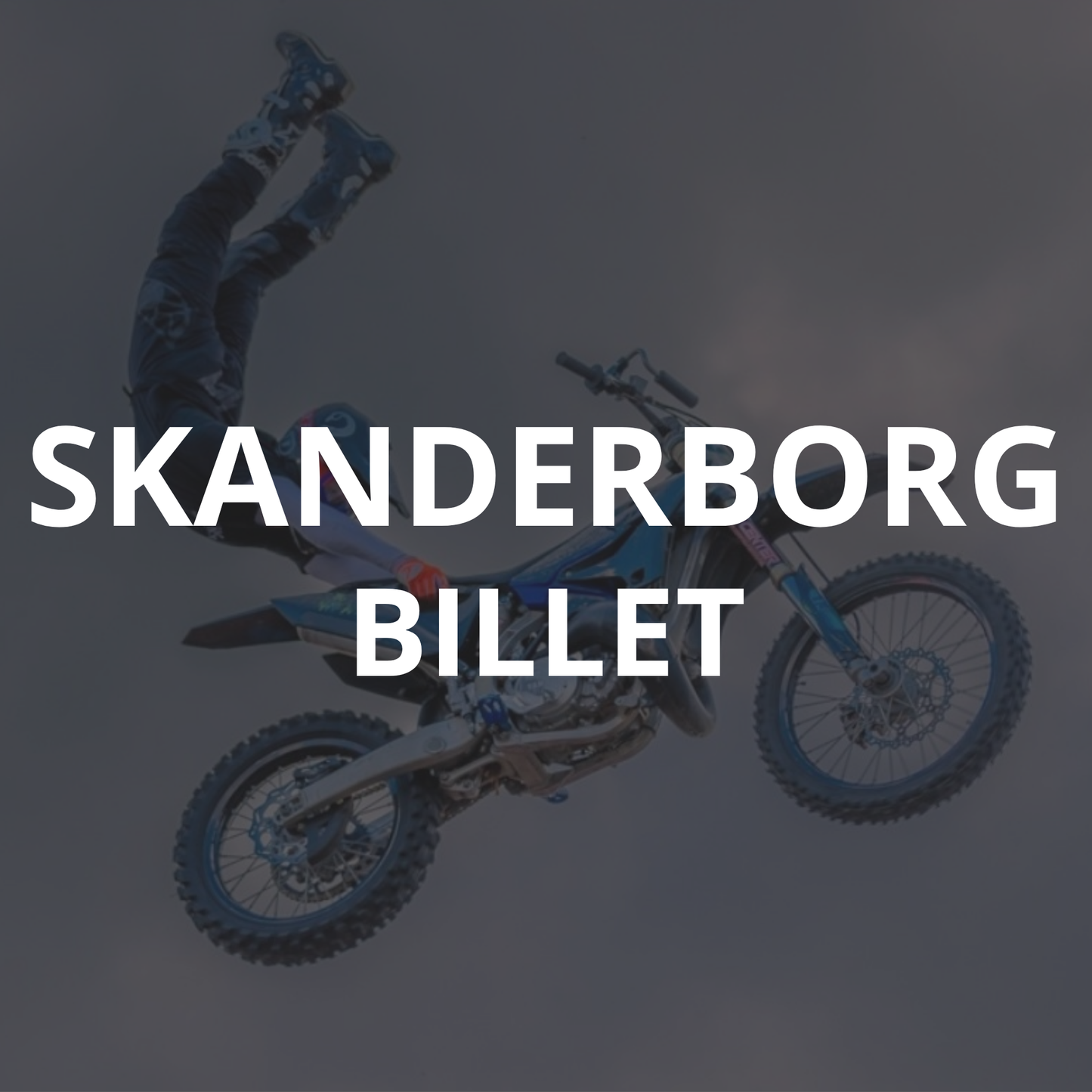 Skanderborg Live Show